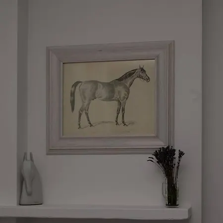 Апартаменты Spacious In Heart Of *