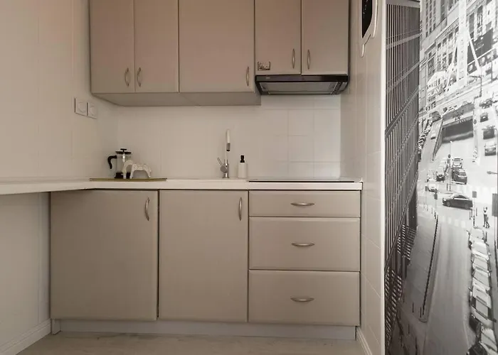 Apartament Spacious In Heart Of *